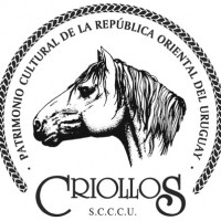 Ser socio