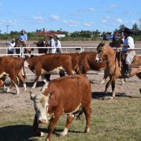 2016 Resultados Aparte Campero Expo Activa Soriano