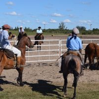 2016 Resultados Aparte – SALTO
