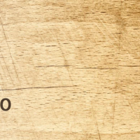 Taller Práctico Sobre Juzgamiento Morfológico
