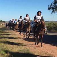 2017 Resultado Marchita Melo