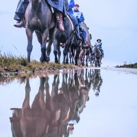 2017 Día a día de la Marcha-Fotos/videos