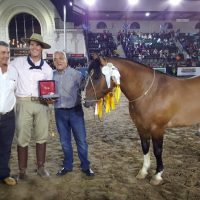 2017 Resultados 131va. Expo Palermo