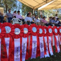 2017 Resultados Expo Paraguay