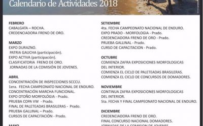 Calendario de Actividades 2018