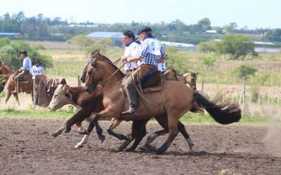 Las paleteadas tienen campeones y clasificados para FICCC