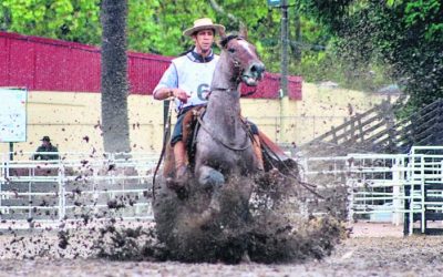 Criollos definen las pruebas