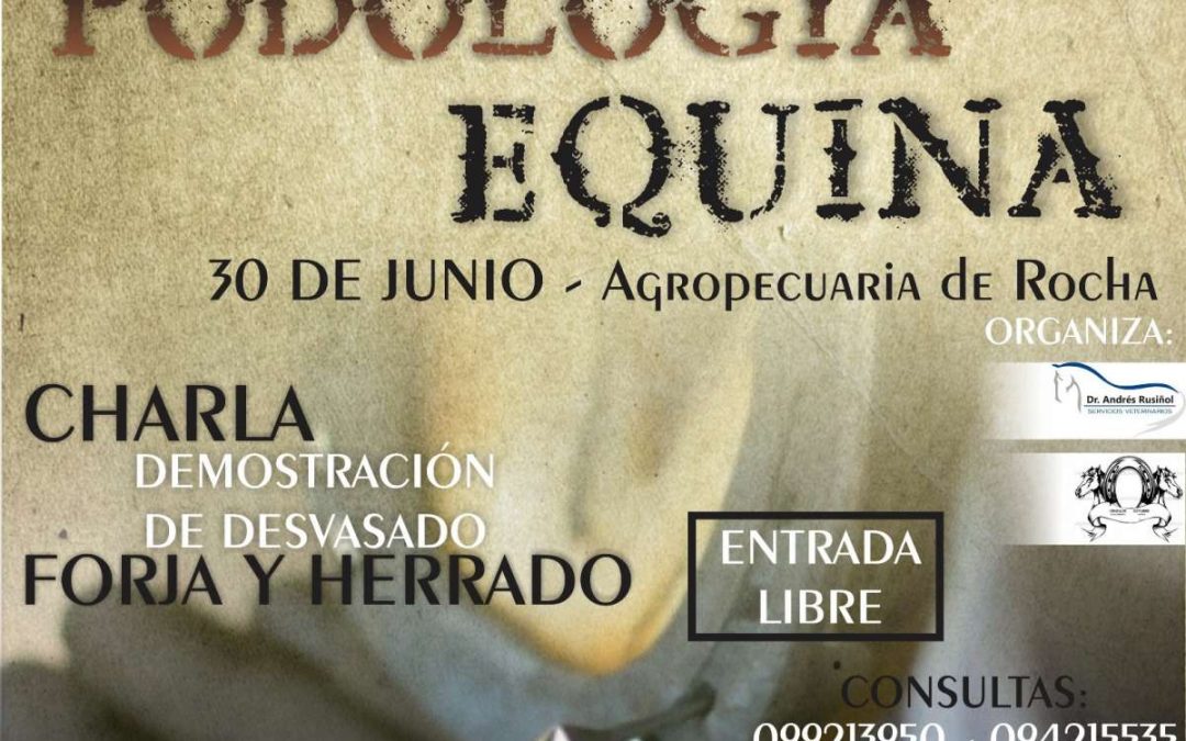 Jornada de podología equina en Rocha