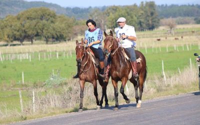 Yegua de “El Rumbo” lidera Marcha de Criollos