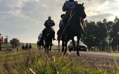 Yeguas de El Rumbo y La Invernada “cabeza a cabeza” en Marcha de Criollos