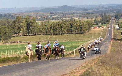 Vigencia y futuro de los caballos Criollos