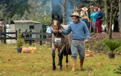 2018 Resultados Expo Otoño Rivera