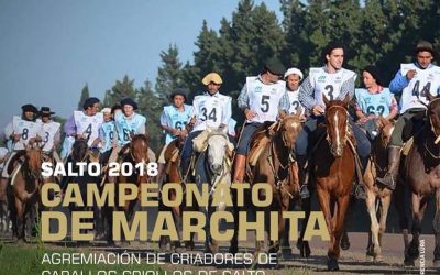 Campeonato de Marchita 2018