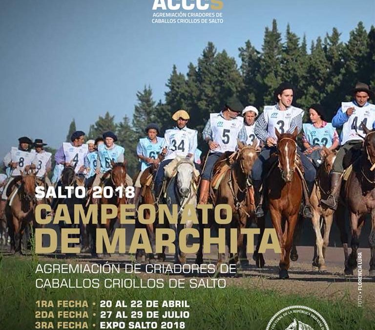 Campeonato de Marchita 2018