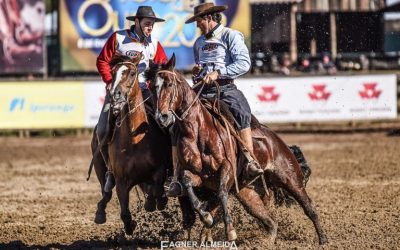 Los tres Criollos uruguayos definirán este domingo el Freno de Oro