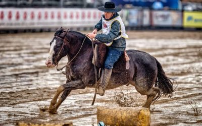 Caballos Criollos uruguayos están en “Top Ten” de la final del Freno de Oro