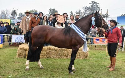 En Expo Prado, los Criollos tienen el futuro asegurado