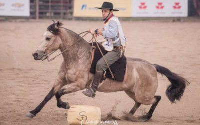 Yegua Criolla uruguaya de Green Belt, ganó clasificatoria en Esteio