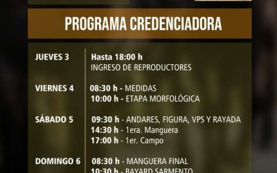 Programa Credenciadora EXPO Salto 2019