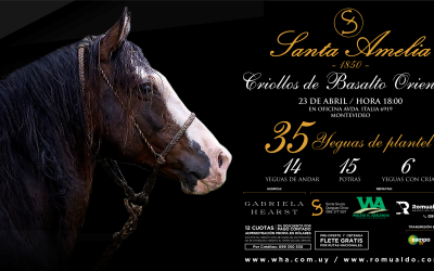 Remate Auspiciado | Santa Amelia