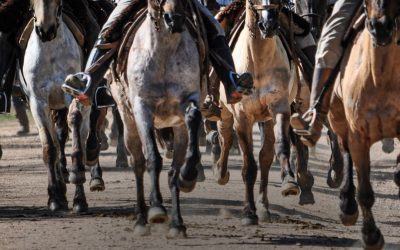 Cuarta Fecha Campeonato Enduro | Melo
