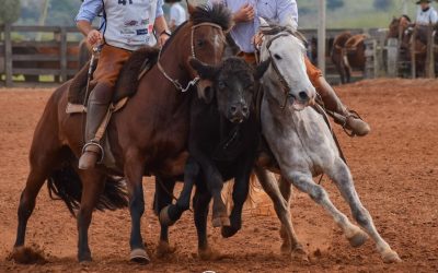 Final Nacional Agremiaciones 2025