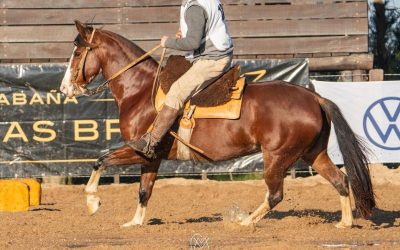 Final Freno de Propietarios | Resultados