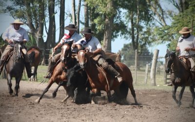 3ERA Y 4TA CLASIFICATORIA FICCC PALETEADAS ARGENTINAS