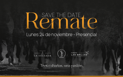 REMATE AUSPICIADO | LAS BRUJAS, LA SOLEADA y DON AUGUSTO