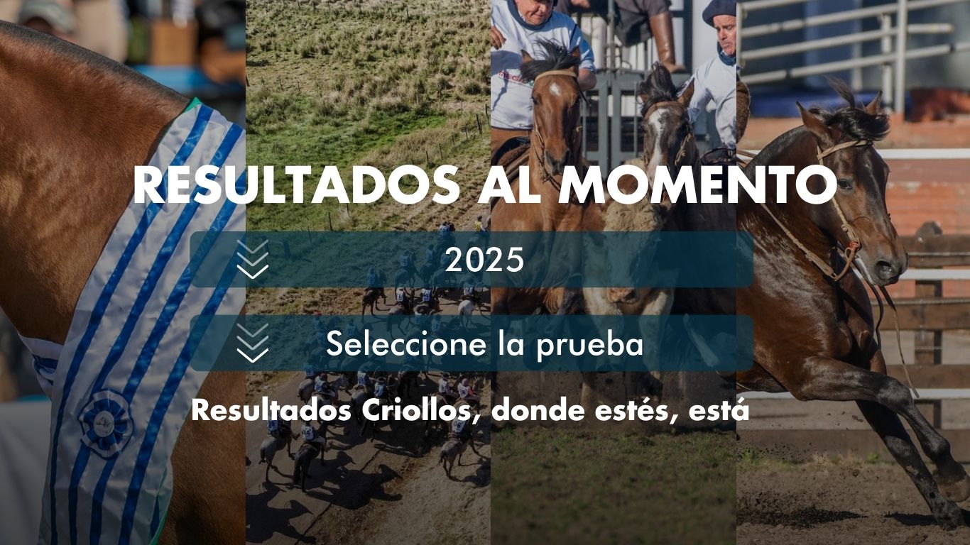 Resultados Criollos, donde estés, está