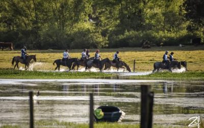 RESULTADOS CAMPEONATO NACIONAL DE ENDURO 2025