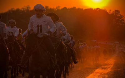 RESULTADOS 1ER. CAMPEONATO NACIONAL DE MARCHITAS