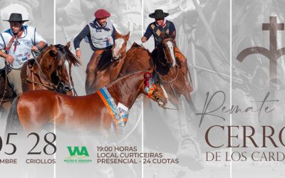 REMATE AUSPICIADO – CERRO DE LOS CARDOS