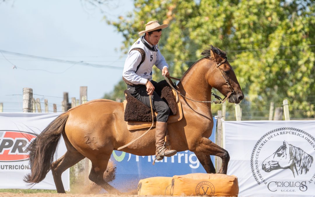 FINAL NACIONAL DE DOMADORES 2025 – INSCRIPCIONES ABIERTAS
