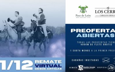 REMATE AUSPICIADO – LOS CERROS CRIOLLOS – PASO DE LEÓN