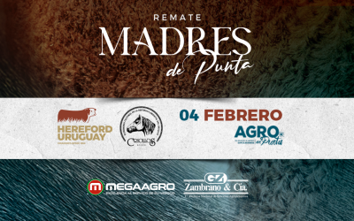 REMATE MADRES DE PUNTA