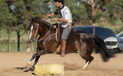 CREDENCIADORA AL FRENO DE ORO MALDONADO 2026
