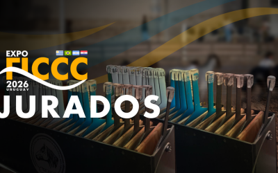 EXPO FICCC 2026 – JURADOS