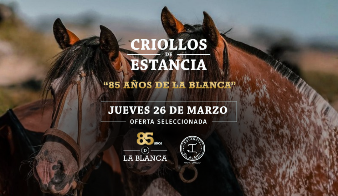 REMATE AUSPICIADO – CRIOLLOS DE ESTANCIA